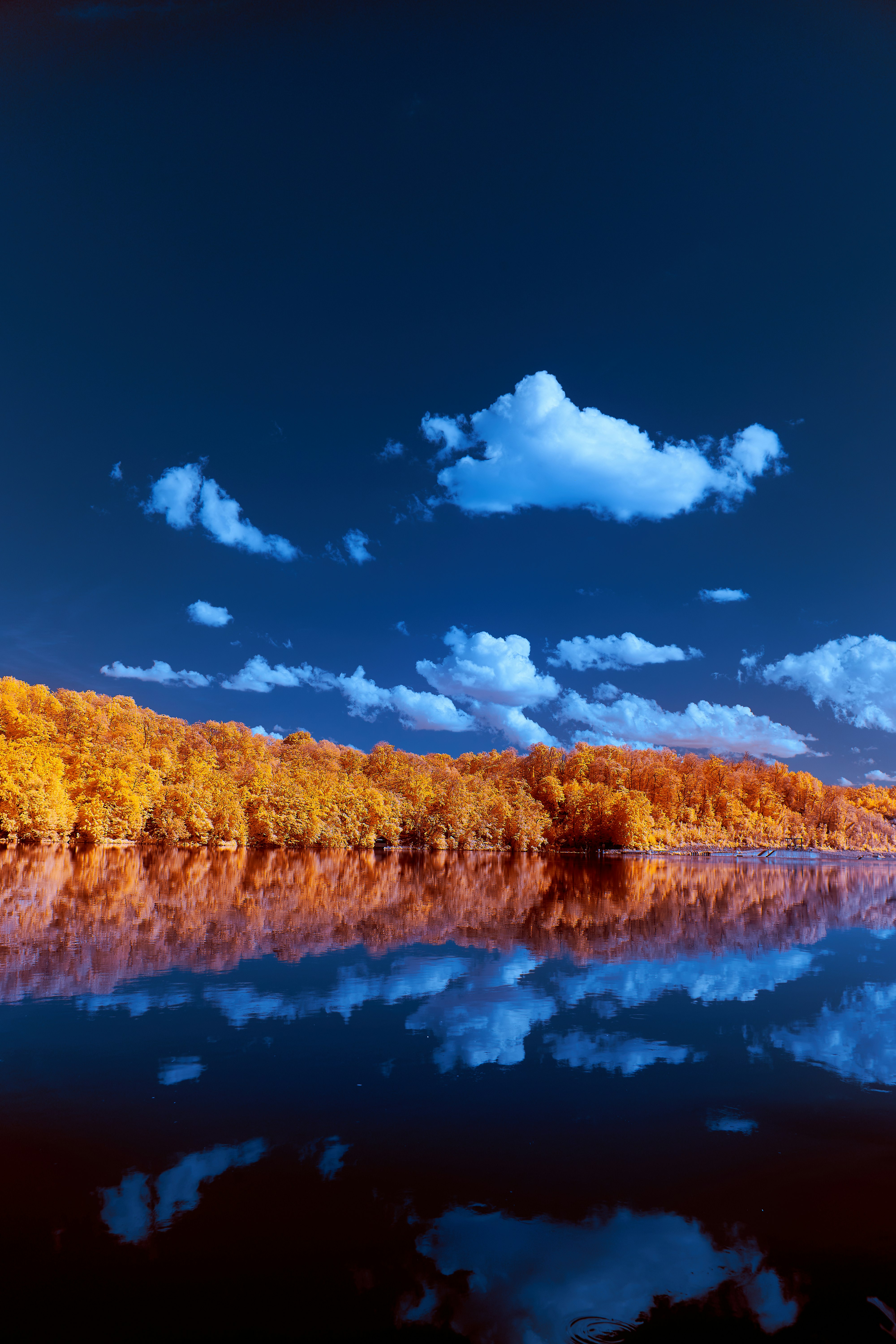body of water near brown trees under blue sky during daytime